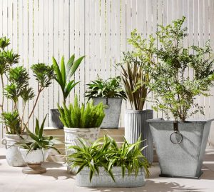 Metal Flower Pots: Are They Best for Your Garden?