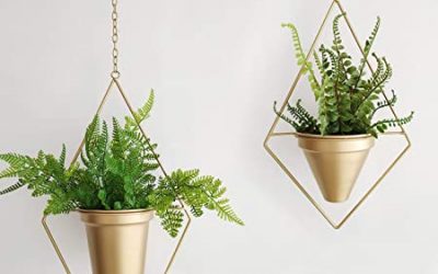 High-Quality Metal Flower Pot Manufacturing to Give a Garden an Upgrade