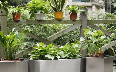 Enhancing Your Garden with Stainless Steel Flower Pots