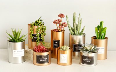 Are Metal Flower Pots Good For Your Plants