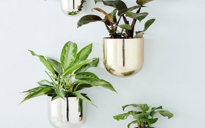 The New Trends in Metal Flower Pots