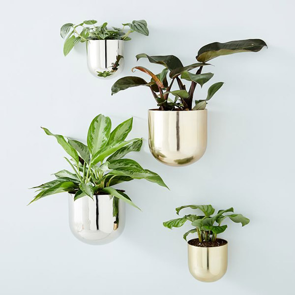 The New Trends in Metal Flower Pots